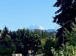 16141 Cleveland Street 316, Redmond WA 98052