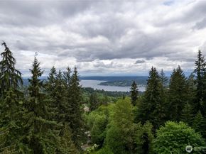 17426 SE 60th Street, Bellevue WA 98006