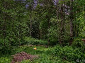 19603 238TH Avenue NE, Woodinville WA 98077