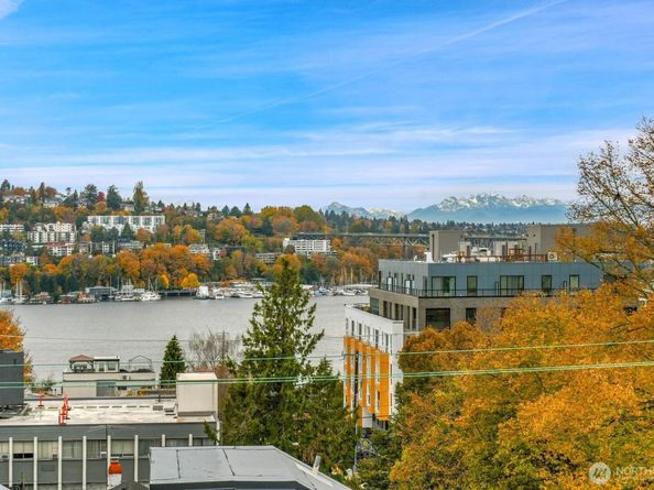 259 E Louisa Street, Seattle WA 98102