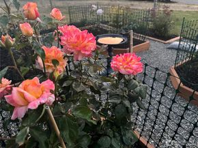 13706 31st Drive SE, Mill Creek WA 98012