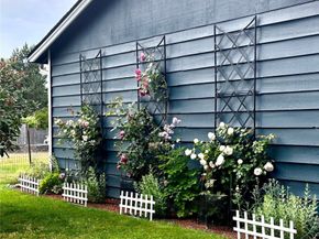 13706 31st Drive SE, Mill Creek WA 98012