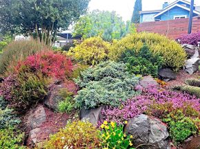 6234 NE 182nd Street, Kenmore WA 98028