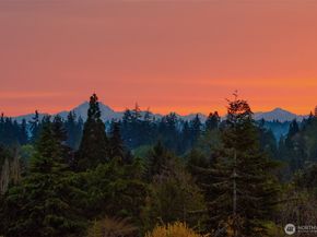 1032 89th Avenue NE, Bellevue WA 98004