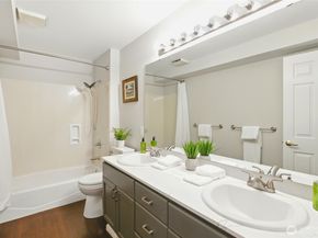 559 McGraw Street 204, Seattle WA 98109