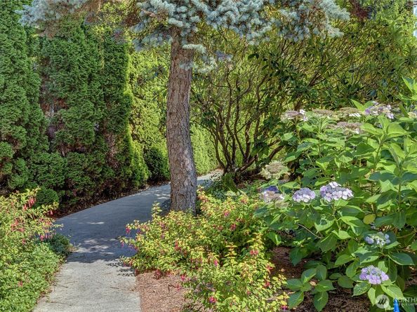 10203 47th Avenue SW A302, Seattle WA 98146