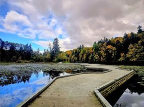 26525 Lake Fenwick Road S, Kent WA 98032