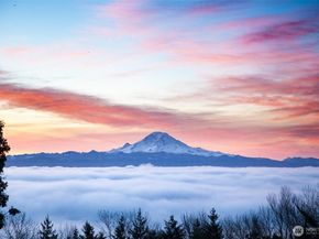 19605 Military Road S, SeaTac WA 98188