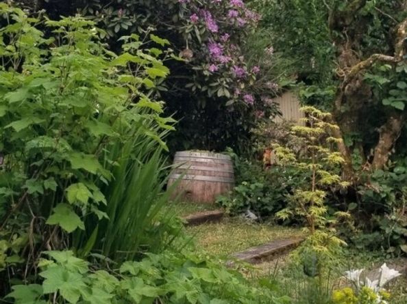 35414 34th Avenue S, Auburn WA 98001