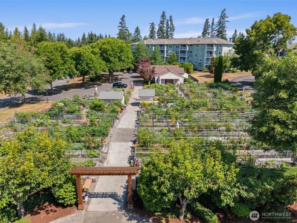 4081 224th Lane SE 210, Issaquah WA 98029