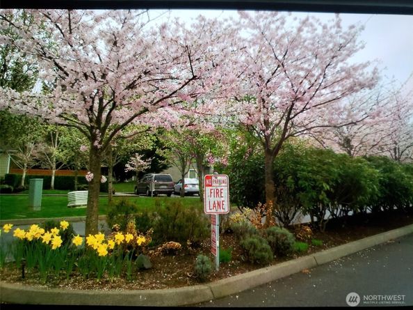 538 241st Lane SE, Sammamish WA 98074