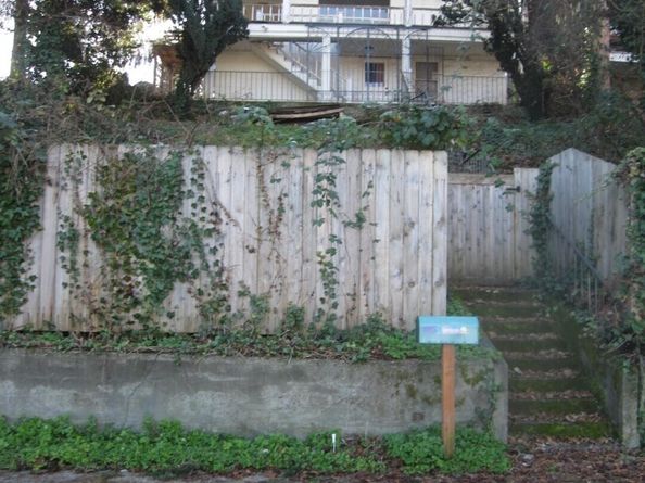 547 S Trenton Street, Seattle WA 98108