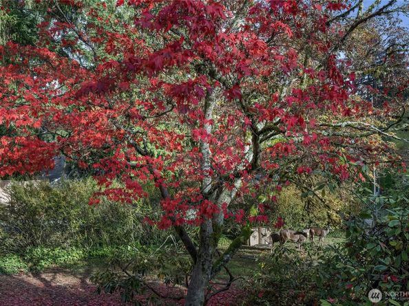 2203 NE 177th Street, Shoreline WA 98155