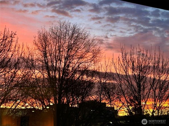 511 100th Avenue NE 111, Bellevue WA 98004