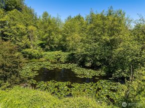 31405 SE Redmond-Fall City Road, Fall City WA 98024