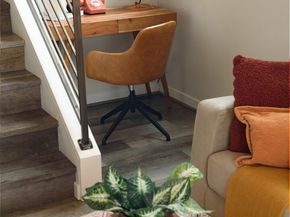 6251 8th Avenue NW, Seattle WA 98107