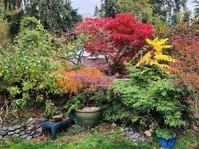 14056 23rd Place NE, Seattle WA 98125