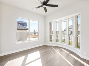 117  Whistling Duck Drive , Balch Springs Texas 75181