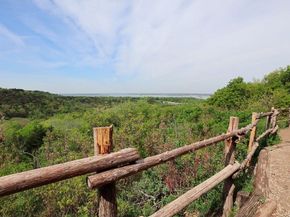 7426  Cloverglen Drive , Dallas Texas 75249