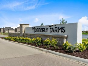 14211  Bacton Road , Pilot Point Texas 76258