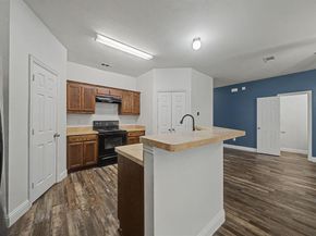 13235  Alsatian Court , Dallas Texas 75253