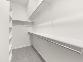 244  Bassett Hall Road , Fate Texas 75189