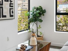 1515 15th Street 210, San Francisco CA 94103