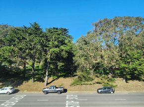 4317 Lincoln Way, San Francisco CA 94122