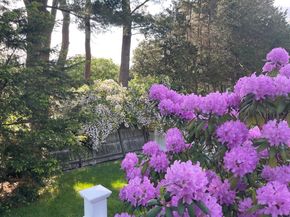 77 Cedar Street, Wellesley MA 02481