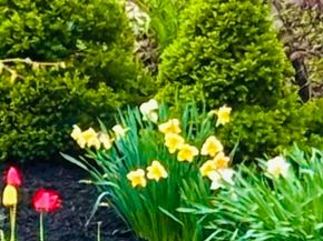19 Brinsley St, Quincy MA 02169
