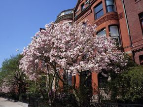 183 Commonwealth Ave. PH, Boston MA 02116