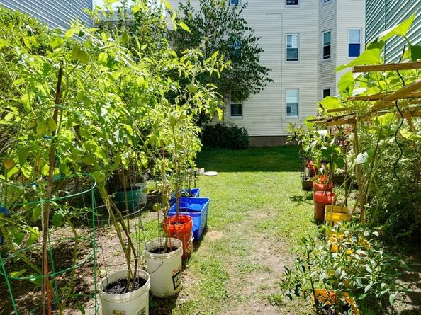 99 Beech St, Belmont MA 02478