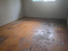 1355 Buchanan Drive, Santa Clara CA 95051