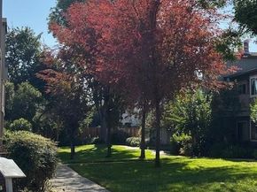 3449 Wine Cask Way, San Jose CA 95124