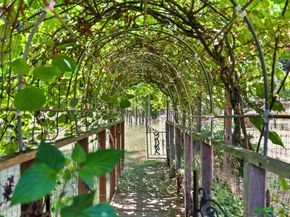 132 Pax Place Court, Aptos CA 95003