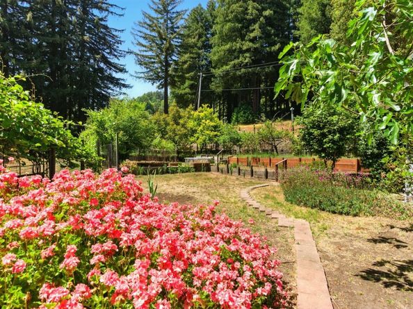 132 Pax Place Court, Aptos CA 95003