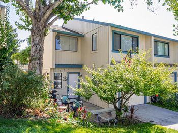 179 Terry Loop