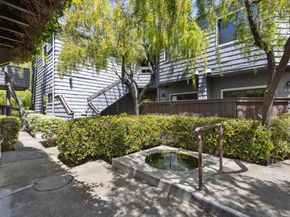 919 Shoreline Drive, San Mateo CA 94404