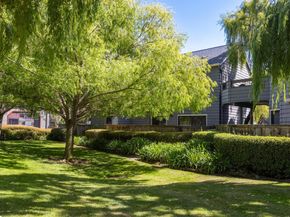 919 Shoreline Drive, San Mateo CA 94404