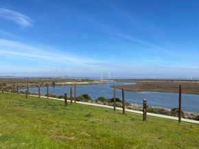 2505 Greer Road, Palo Alto CA 94303