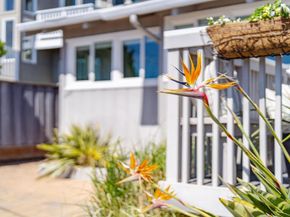 342 Coates Drive, Aptos CA 95003