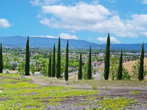 218 William Manly Street 3, San Jose CA 95136