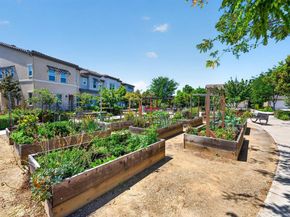 806 Saint Rufina Lane, Morgan Hill CA 95037