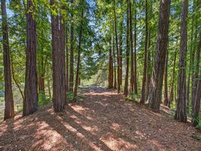 780 Elsie Mae Drive, Boulder Creek CA 95006