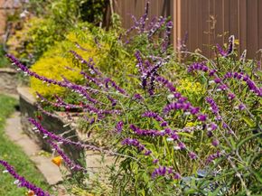 735 Montezuma Drive, Pacifica CA 94044