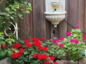 174 Villa Avenue, Los Gatos CA 95030