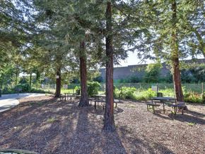 880 Catkin Court, San Jose CA 95128