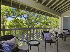 3685 Nutwood Terrace 313, Fremont CA 94536