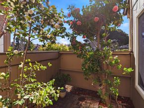 1034 Gull Avenue, Foster City CA 94404