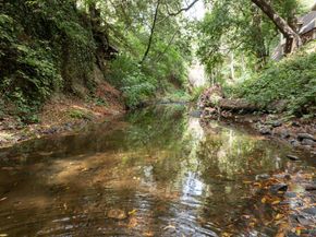 15765 Kings Creek Road, Boulder Creek CA 95006